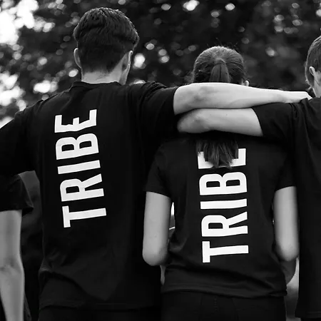 Tribe Carcassonne